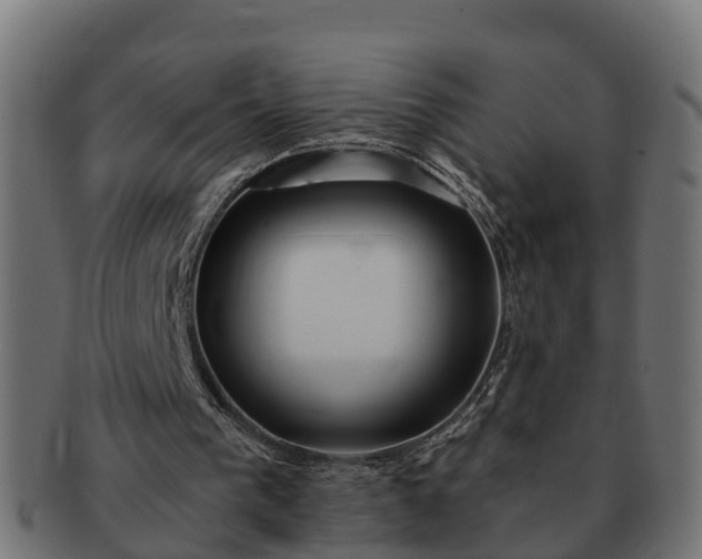 X0000091330193200708241208