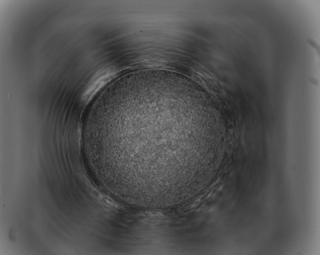 X0000091330194200708241208