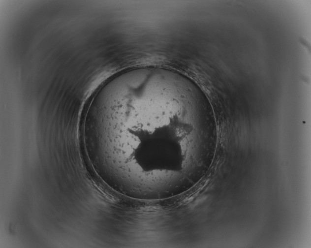 X0000091330196200708241208