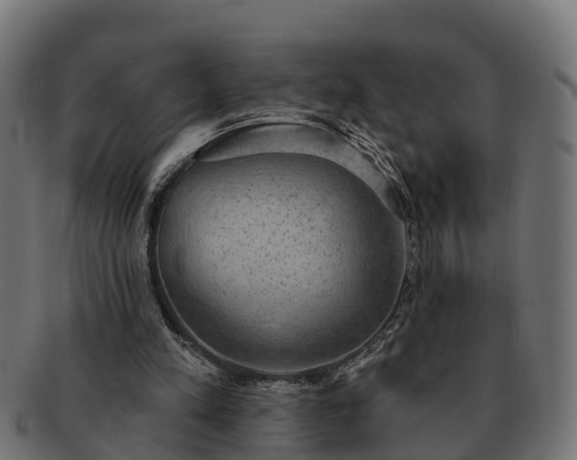 X0000091330197200708241208