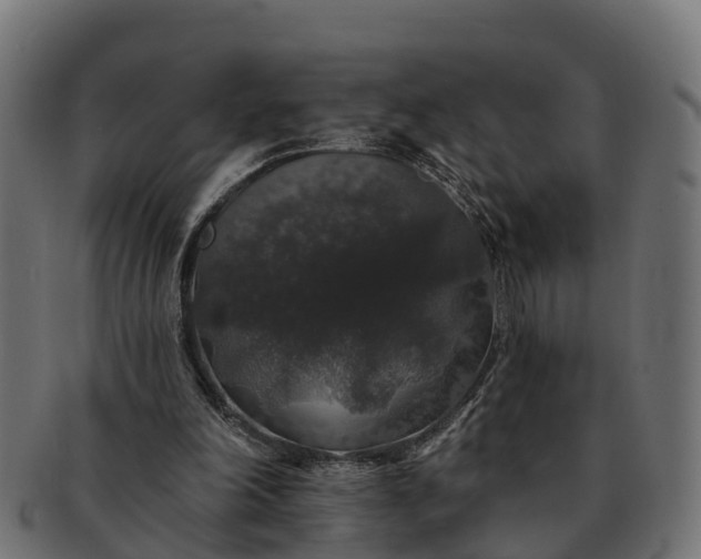 X0000091330198200708241208