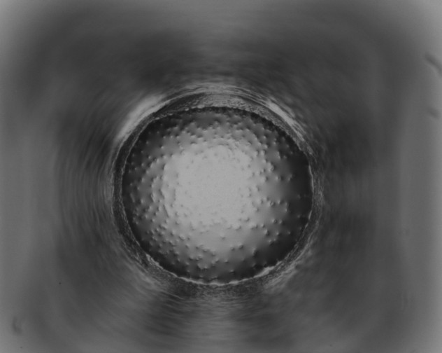 X0000091330199200708241208