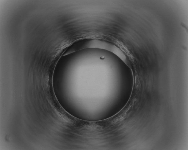 X0000091330201200708241208