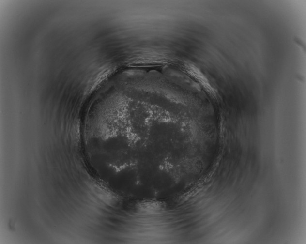 X0000091330202200708241208