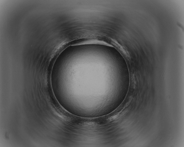 X0000091330203200708241208