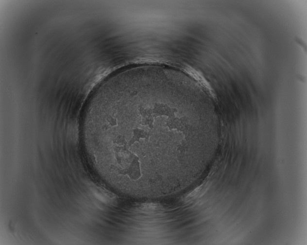 X0000091330204200708241208