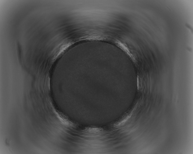 X0000091330205200708241208