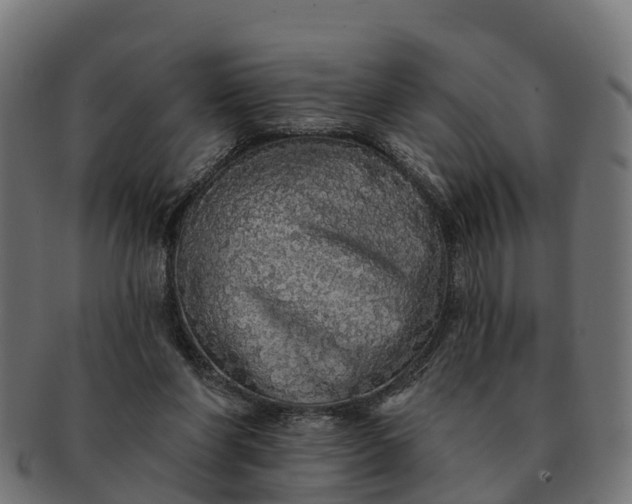 X0000091330206200708241208