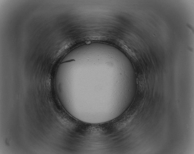 X0000091330207200708241208