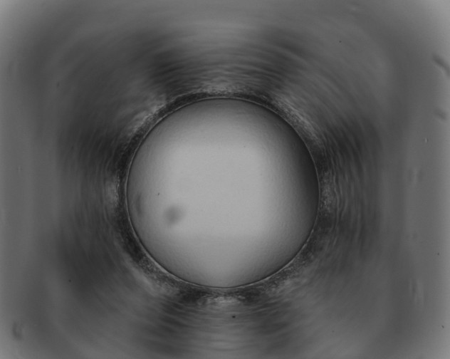 X0000091330208200708241208