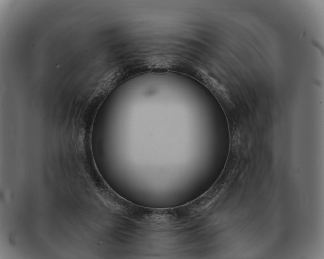 X0000091330209200708241208