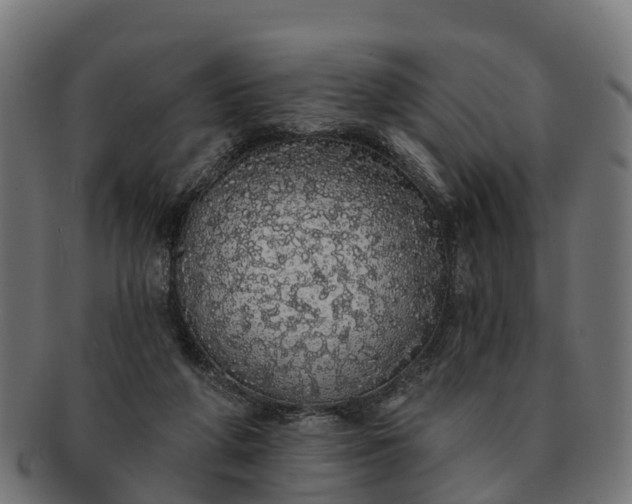 X0000091330210200708241208