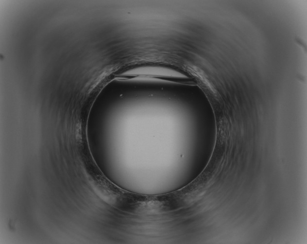 X0000091330212200708241208