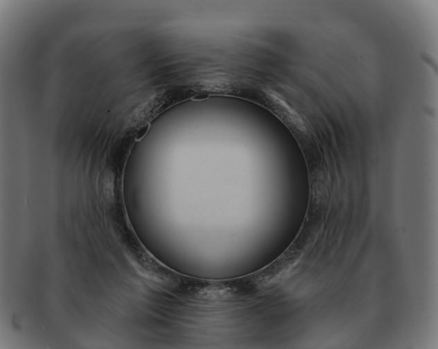 X0000091330213200708241208