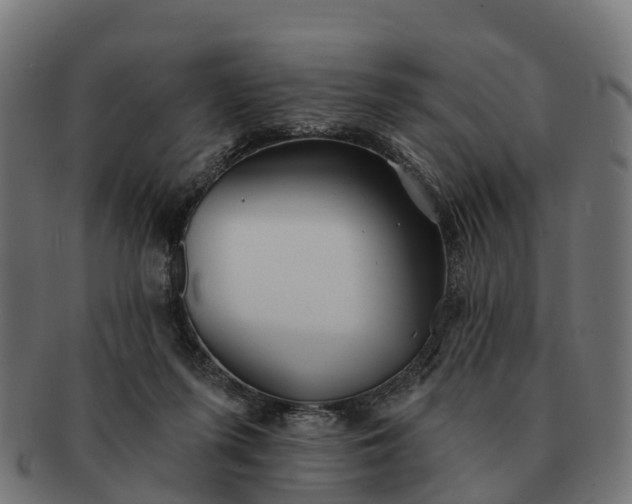 X0000091330215200708241208