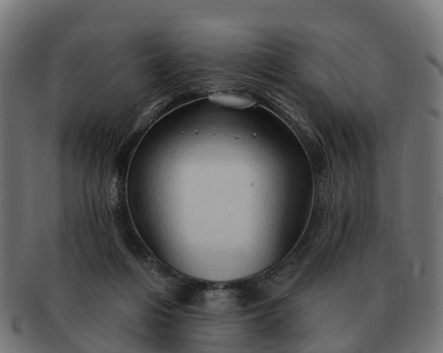 X0000091330216200708241208