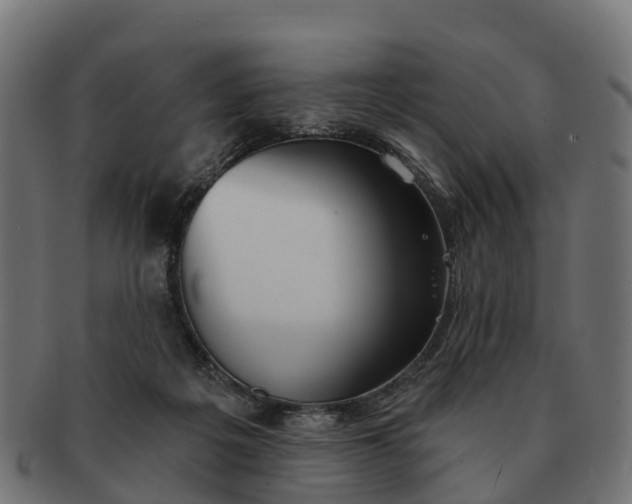 X0000091330217200708241208