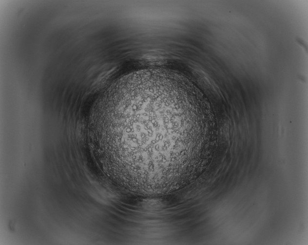 X0000091330218200708241208