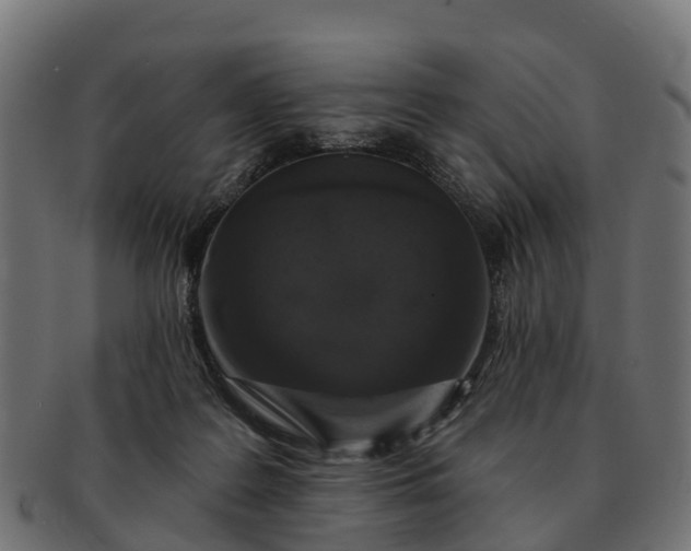 X0000091330219200708241208