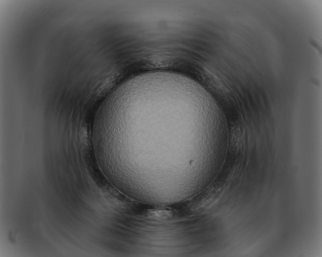 X0000091330220200708241208