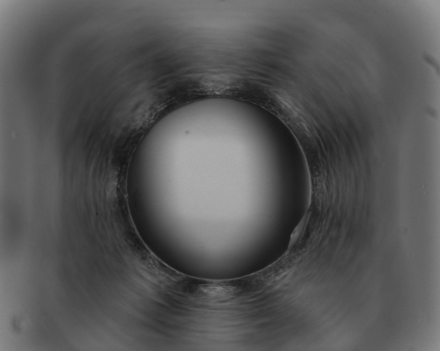 X0000091330221200708241208