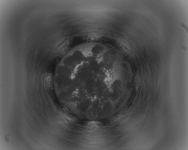 X0000091330222200708241208