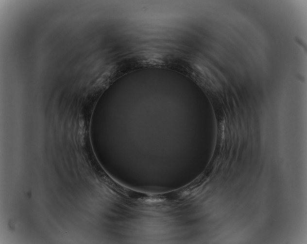 X0000091330223200708241208