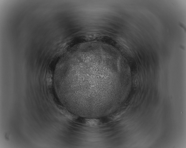 X0000091330226200708241208