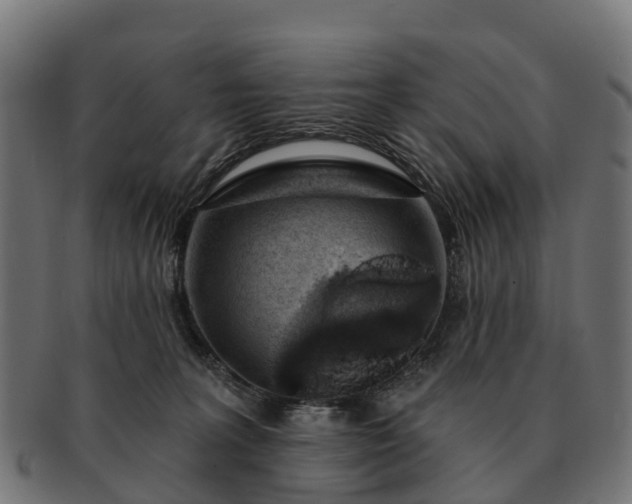 X0000091330227200708241208