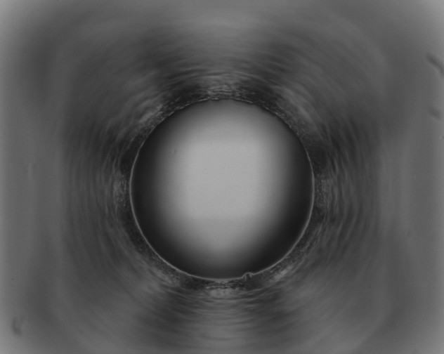 X0000091330228200708241208