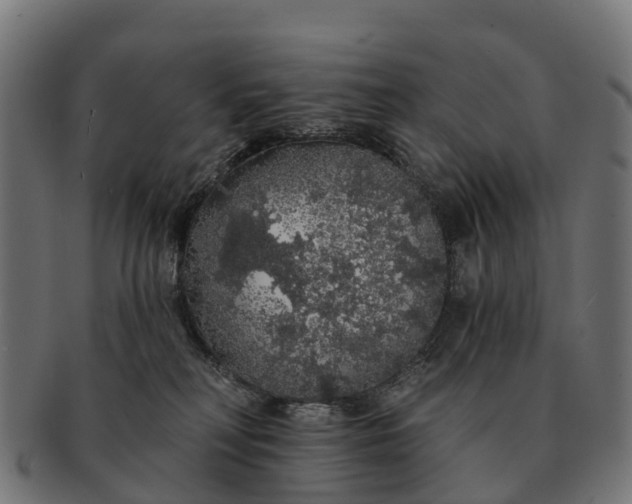 X0000091330230200708241208