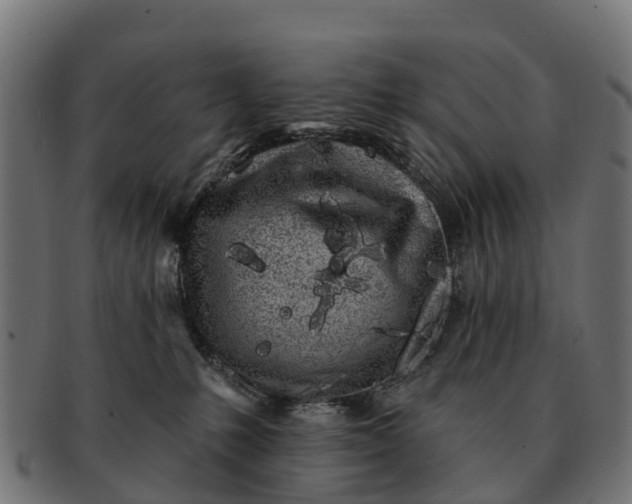 X0000091330231200708241208