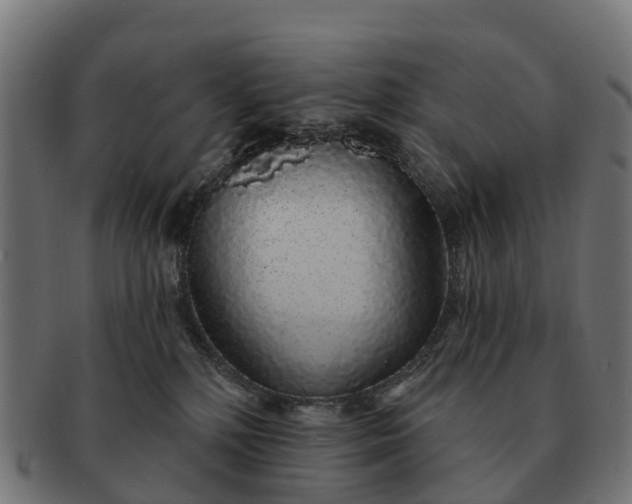 X0000091330232200708241208