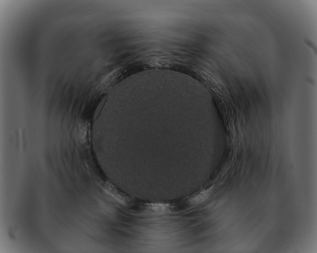 X0000091330233200708241208