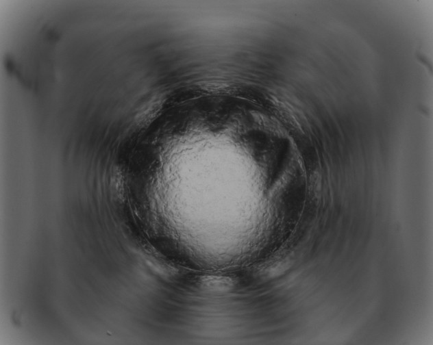 X0000091330234200708241208