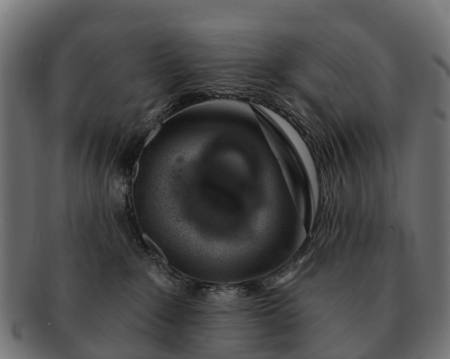 X0000091330235200708241208