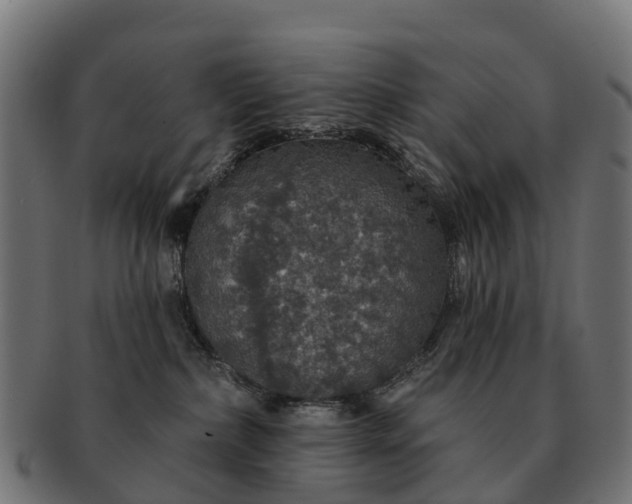 X0000091330236200708241208