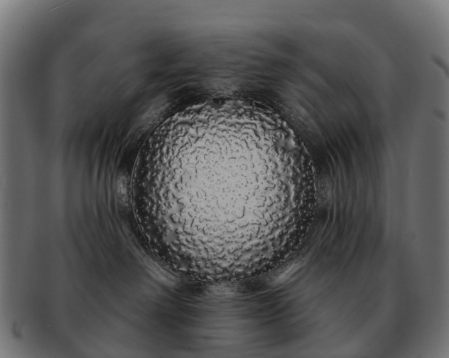 X0000091330238200708241208