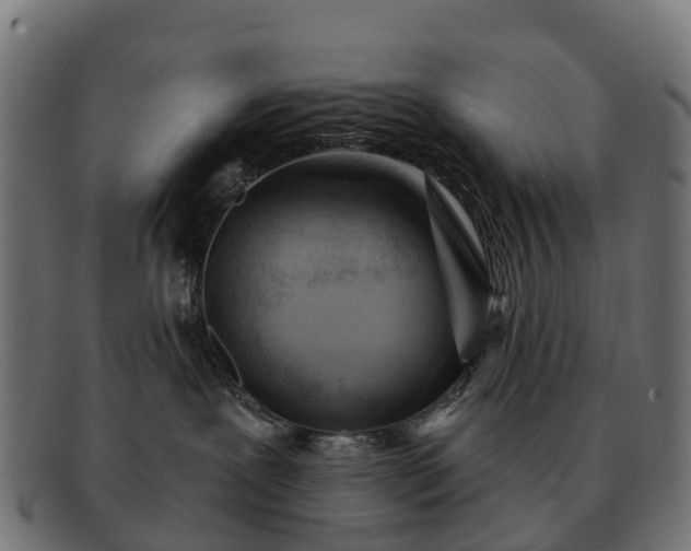 X0000091330239200708241208