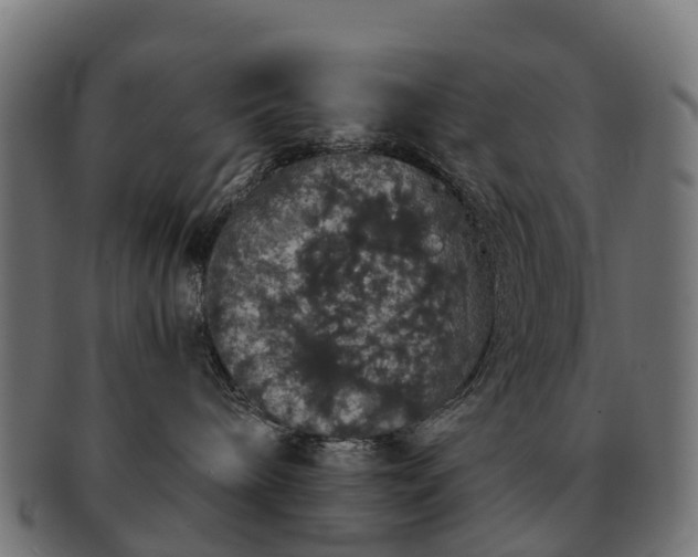 X0000091330240200708241208