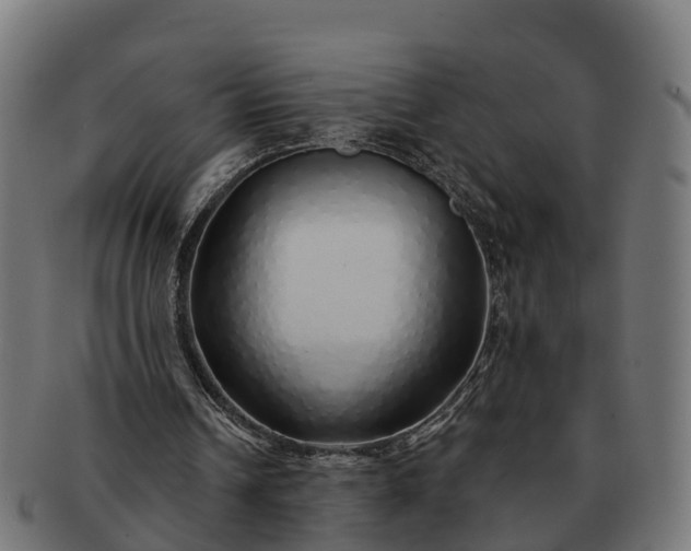 X0000091330242200708241207