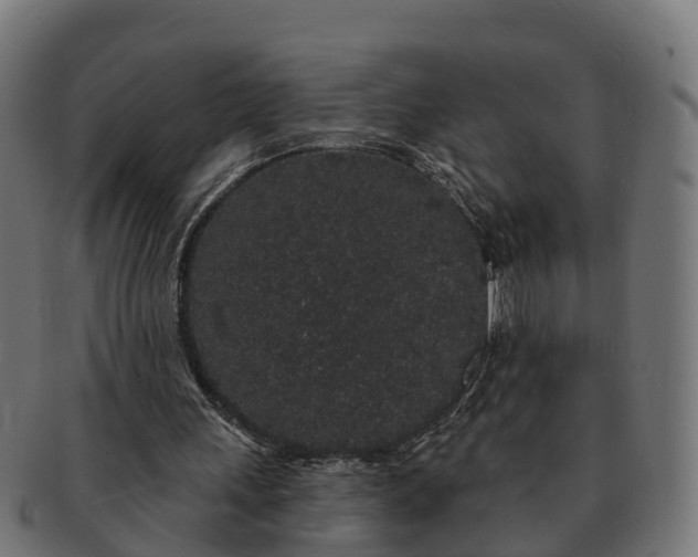 X0000091330243200708241207