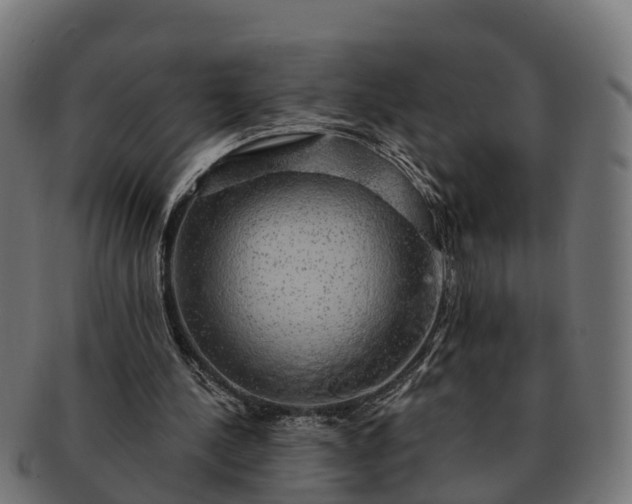 X0000091330244200708241207