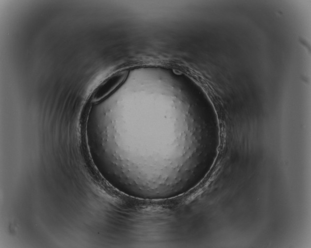 X0000091330246200708241207