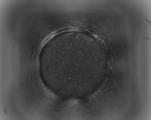 X0000091330247200708241207