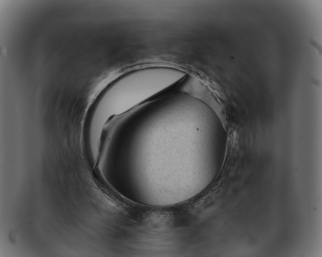 X0000091330248200708241207