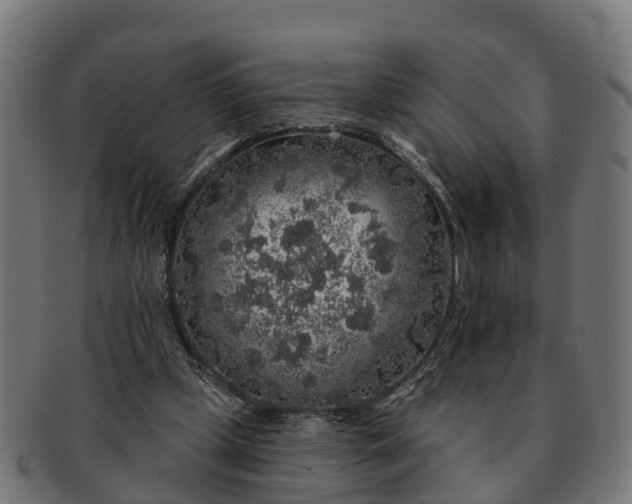 X0000091330249200708241207