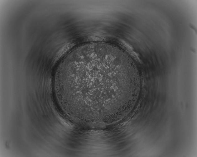 X0000091330250200708241207