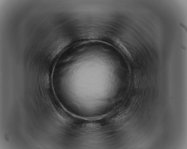 X0000091330251200708241207