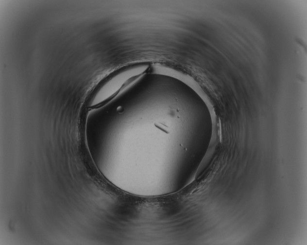 X0000091330252200708241207